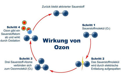 Starka Autotech Ozon Generator 10000mg/Stunde automatische Zeiteinstellung